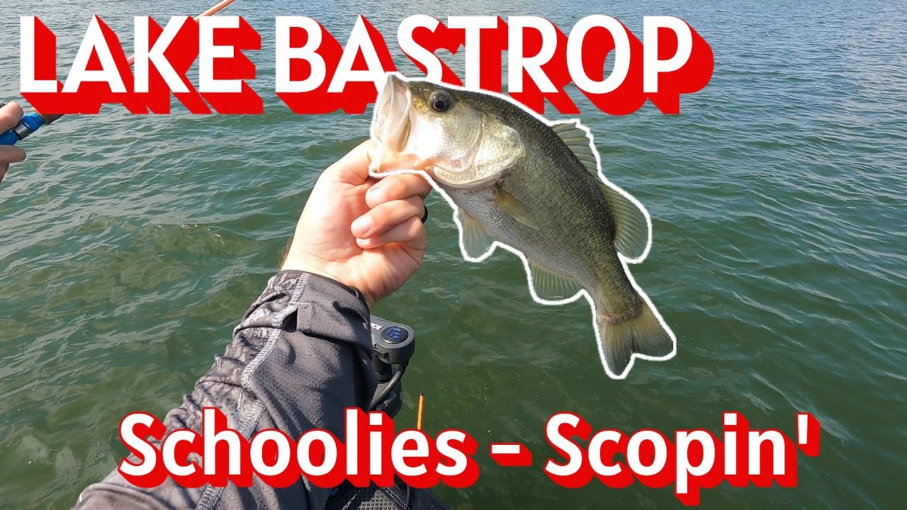 My FIRST TIME using LIVE SCOPE on a POWERPLANT Lake! (Lake Bastrop, Texas) #fishing #bassfishing