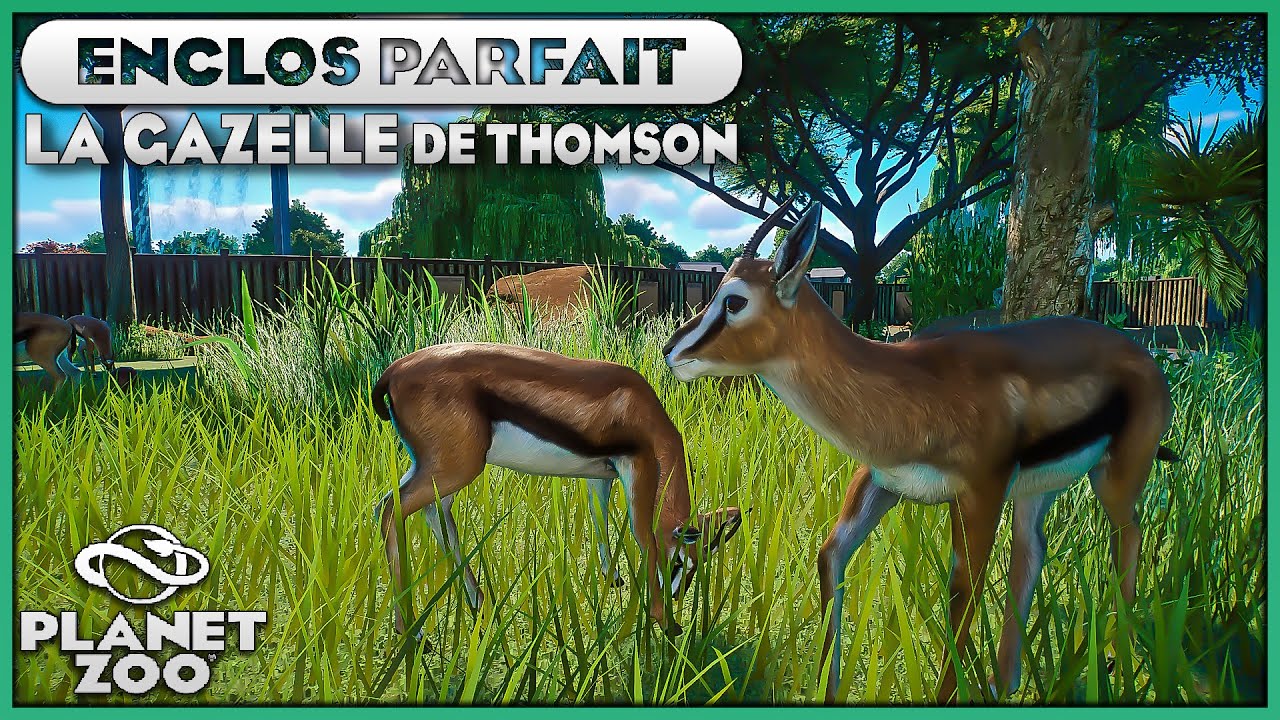 Les Gazelles de Thomson | LES ENCLOS PARFAITS : EPISODE 22 | PLANET ZOO