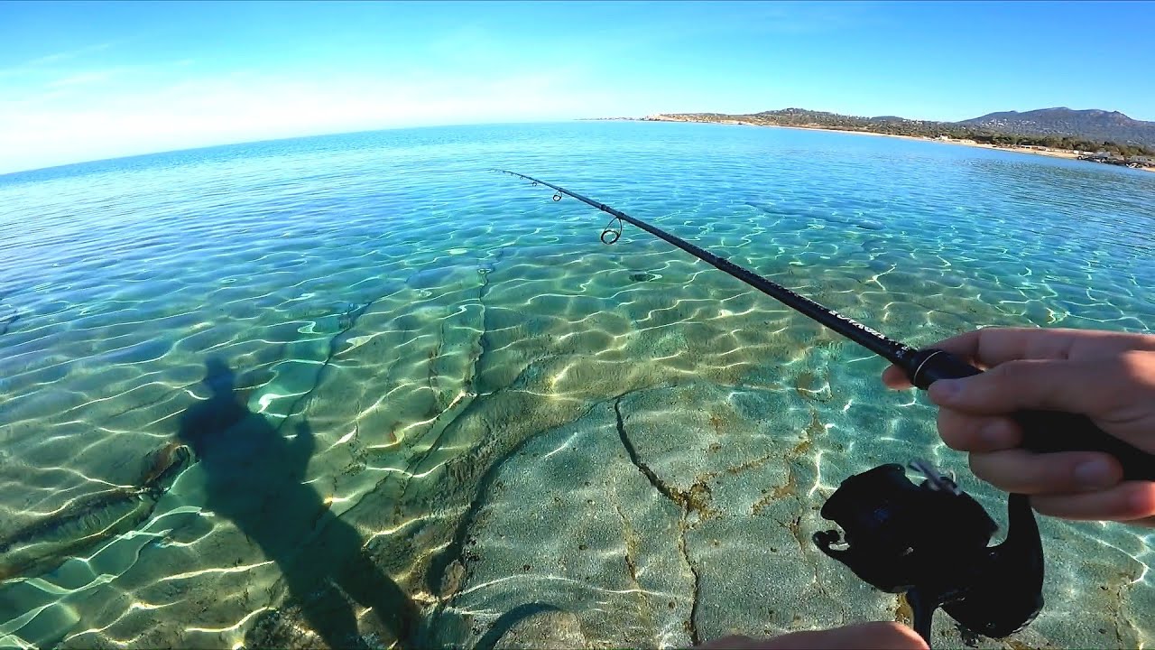 Crystal waters Lightgame Shore fishing Corsica