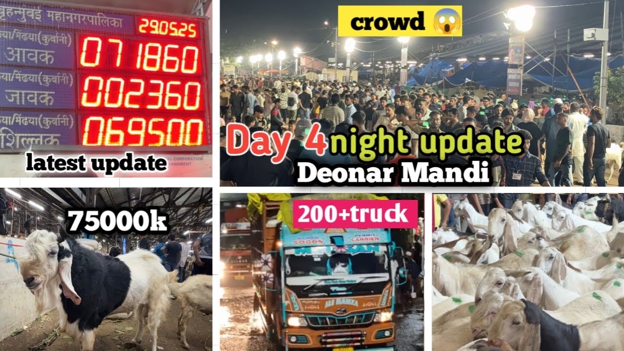 DEONAR BAKRA MANDI DAY 4 2025 | 200+Truck 😱| Bakre hue Saste | Latest Update Deonar