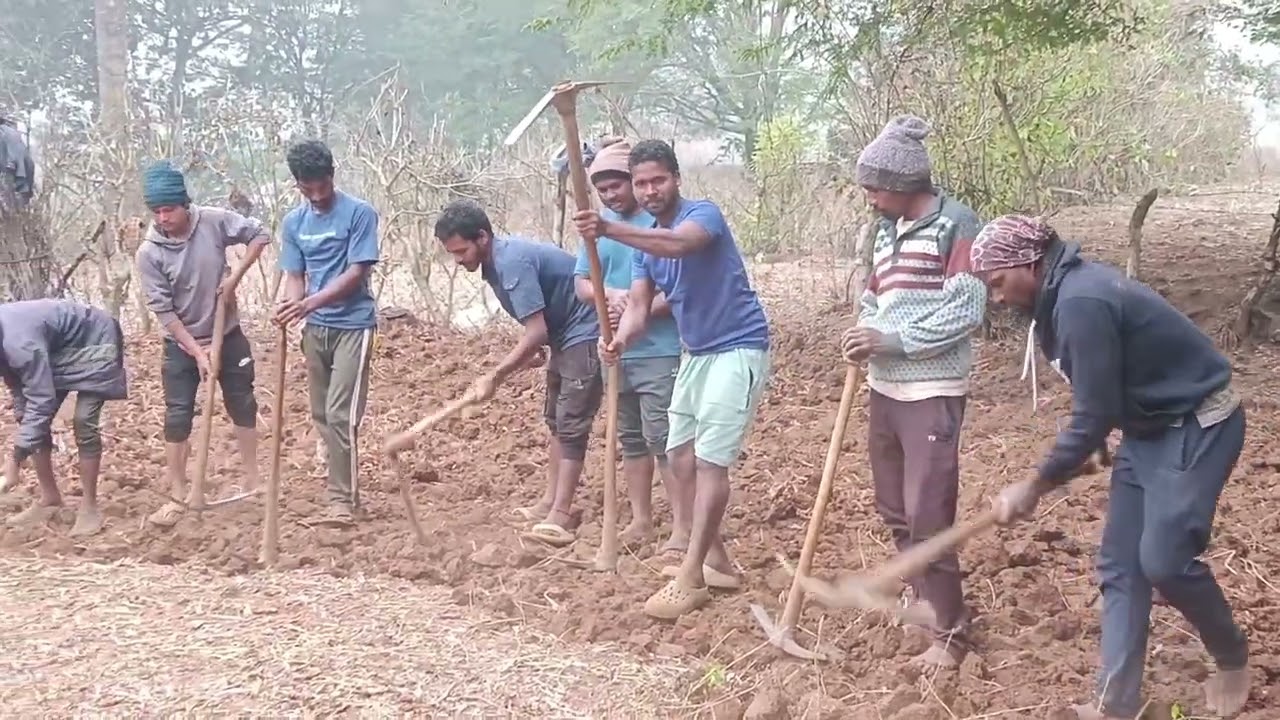 దసరా పండుగ సందర్భంగా సర్కుదొడ్లు పసుపు దొడ్లు తవ్వుతున్నారు lvillage videos#youtubevideos#ytvideos