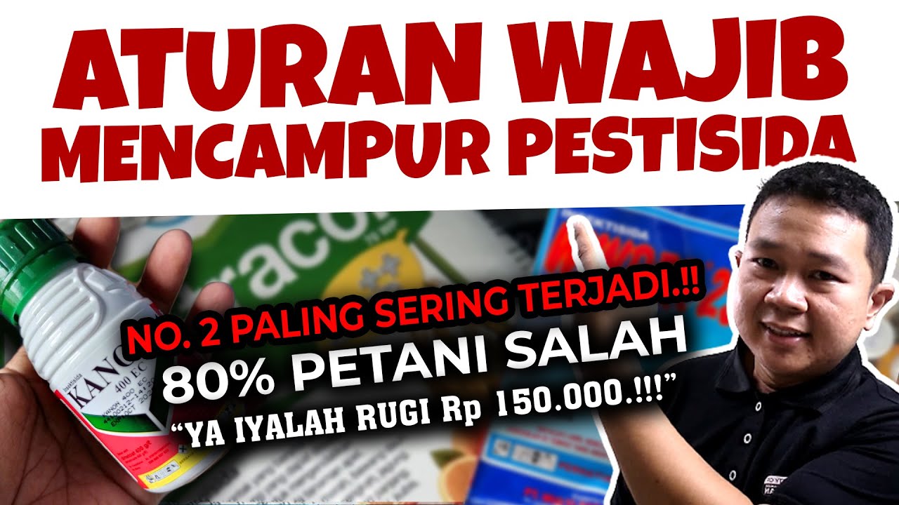 RUGI 150.000.❗❗❗ ATURAN WAJIB MENCAMPUR PESTISIDA | Insektisida, Fungisida & Pupuk Daun