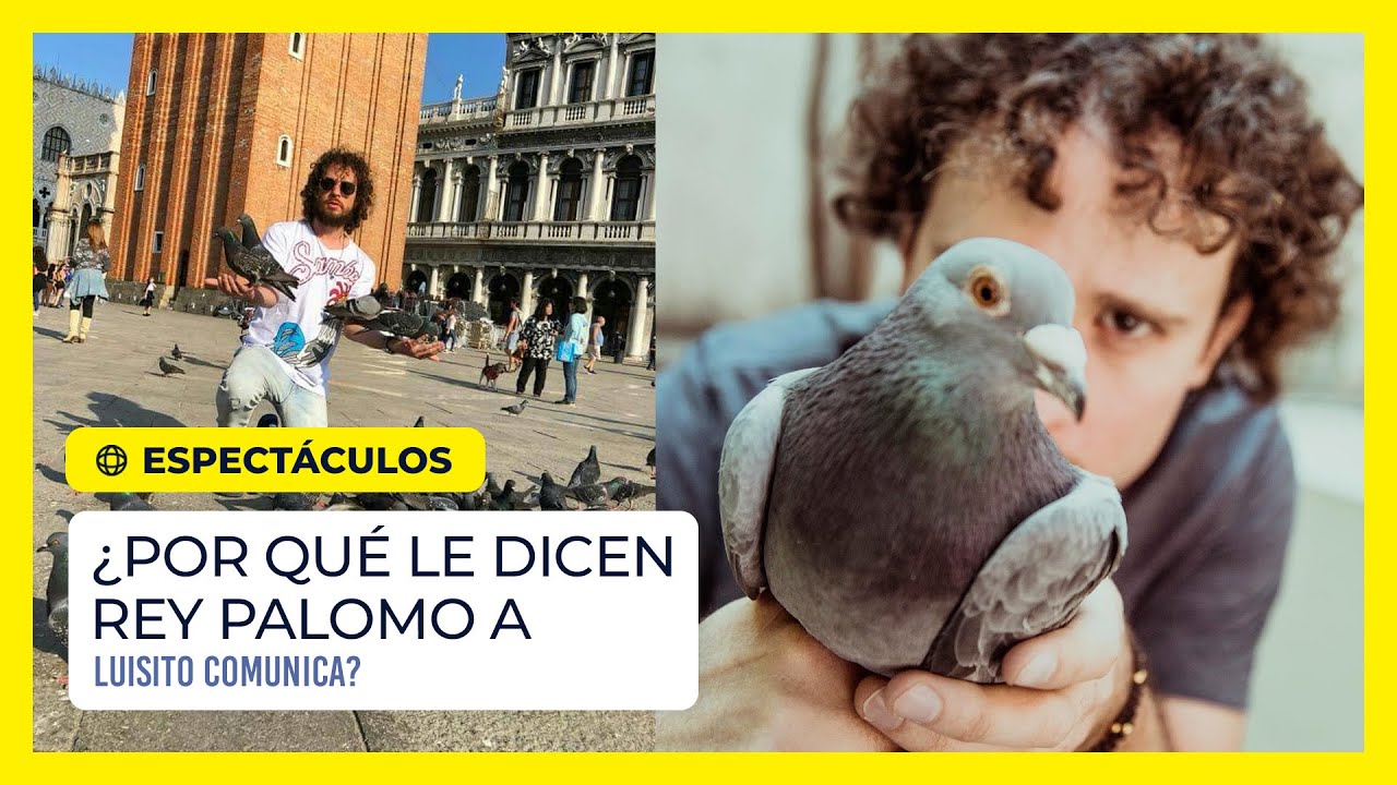 &iquest;Por qu&eacute; le dicen Rey Palomo a Luisito Comunica?