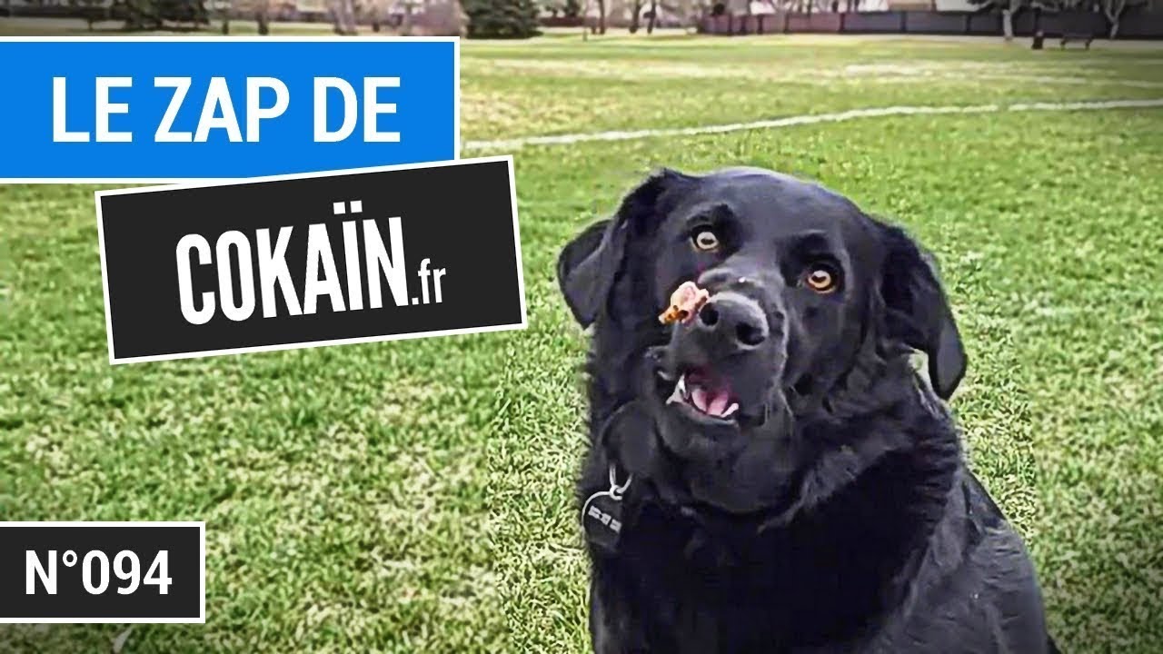 Le Zap de Coka&iuml;n.fr n&deg;094