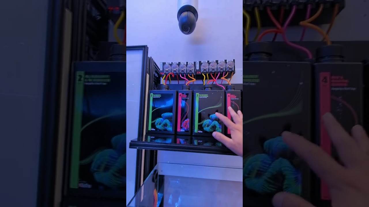 Full overview of the 650 and 250 reef system 