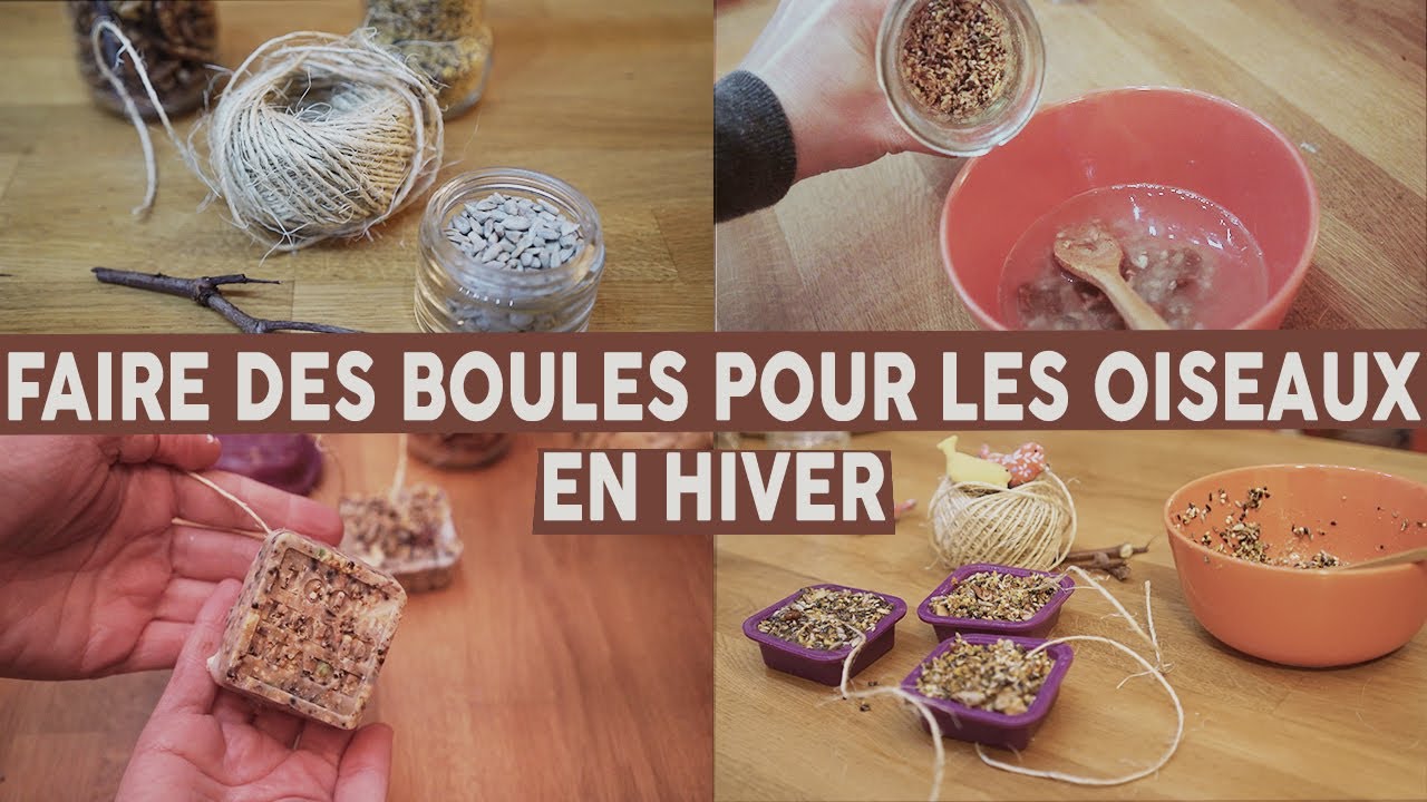 FAIRE DES BOULES DE GRAINES POUR LES OISEAUX