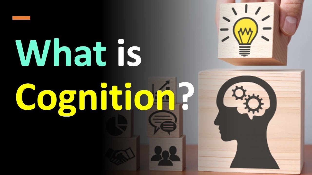 (Lecture-8), What is Cognition? Process of Acquiring Knowledge and Understanding