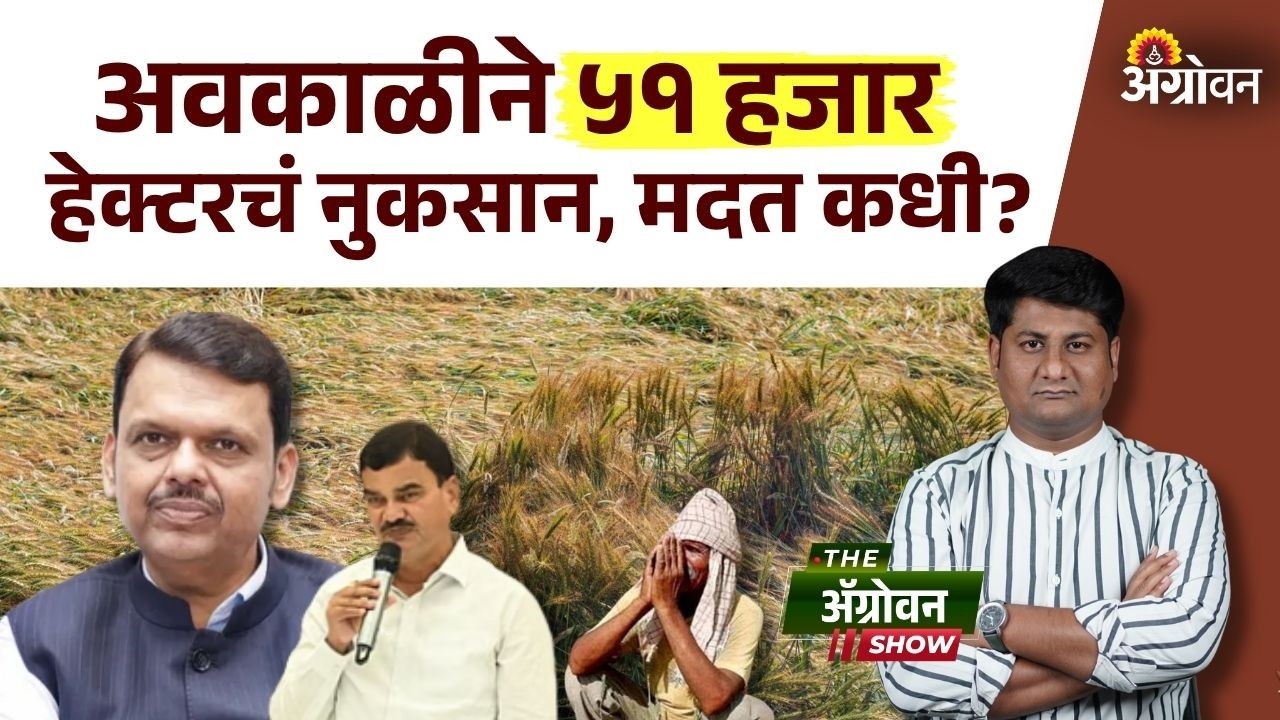 Avakli Madat : राज्यात पूर्वमोसमी पाऊस आणि गारपीटीचा शेती पिकांना फटका| Agrowon