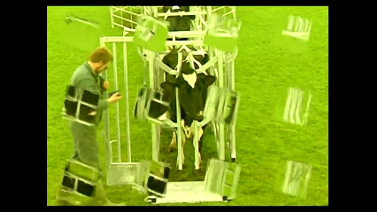 IAE Chieftain Yoke Gate