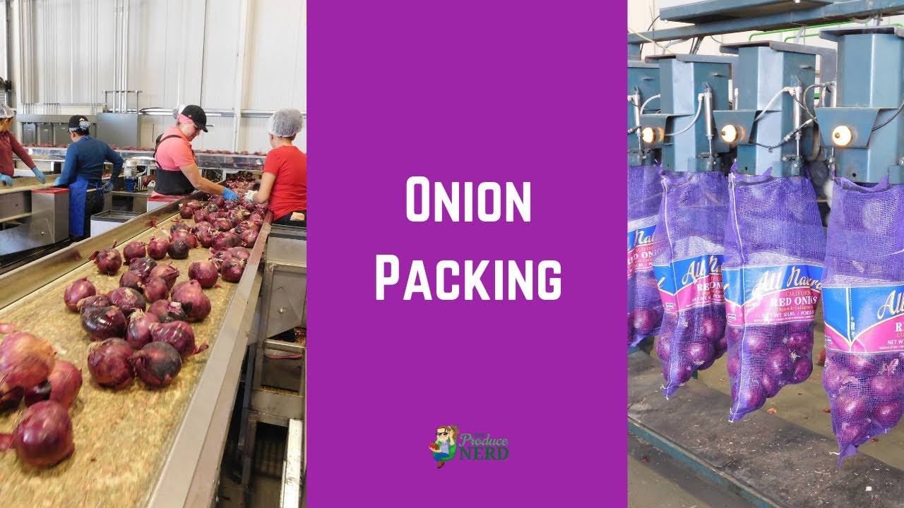 Onion Production in California: Onion Packing