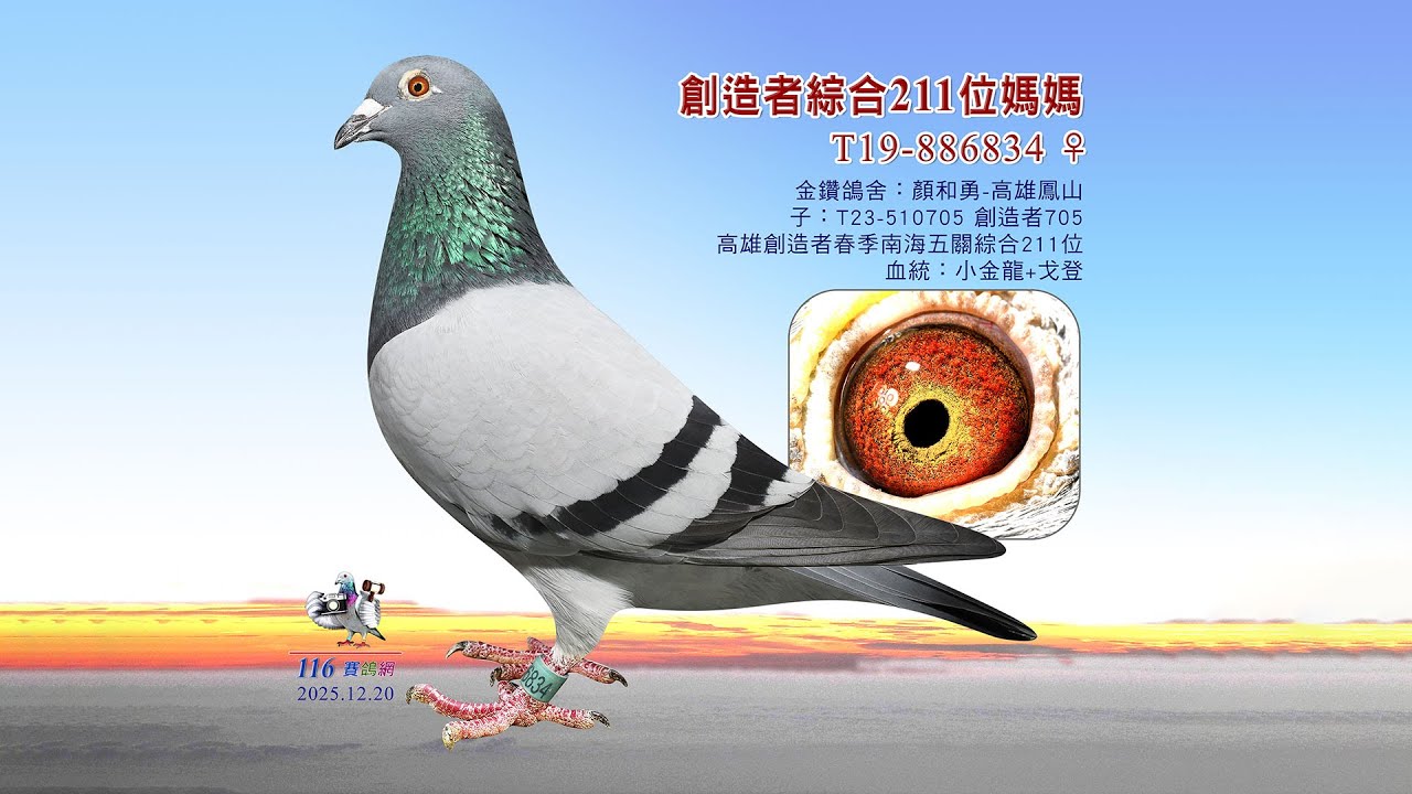 【陳效禮 全舍拍賣】T19-886834