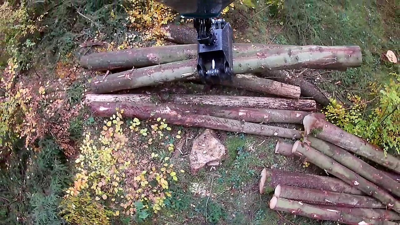 HSM 208 F Rückezug Käferholz Palfinger epsilon aufladen