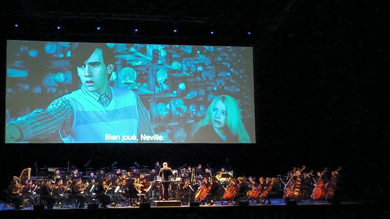 Harry Potter & The Order Of The Phoenix - Zenith Toulouse (2026)