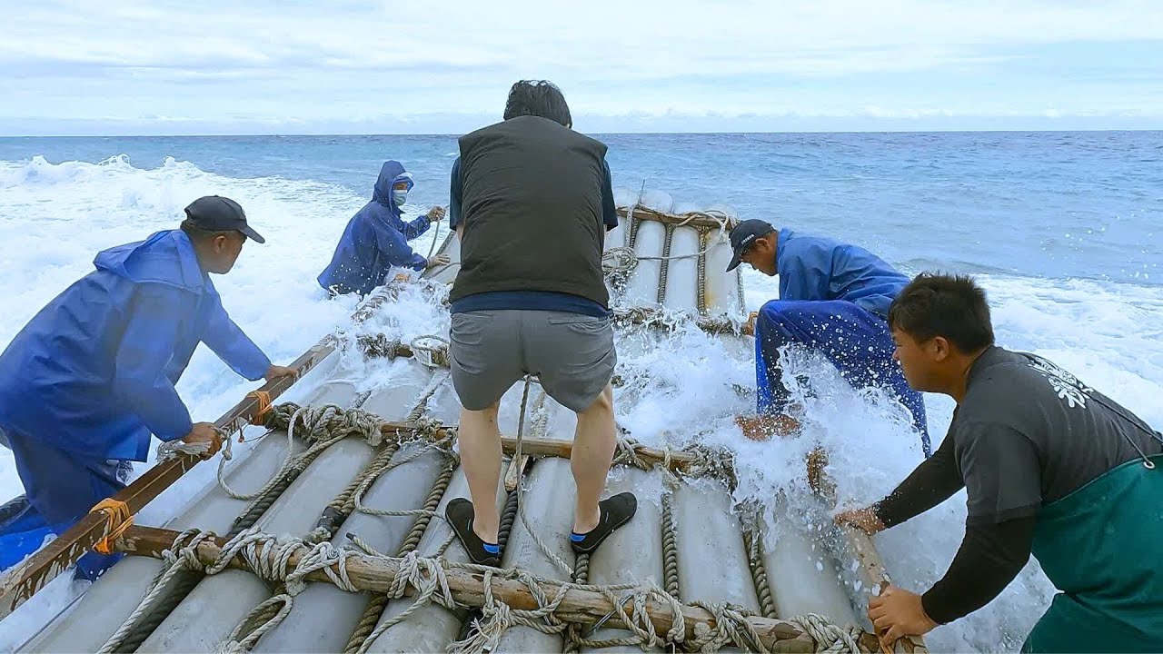 【從海洋到餐桌EP.10】衝浪捕魚! 台東三和定置漁場作業