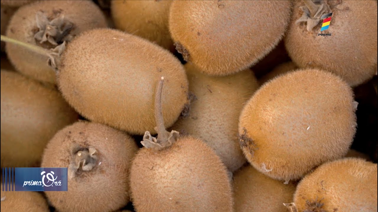 KIWI. ROADĂ BOGATĂ LA CHIȘINĂU