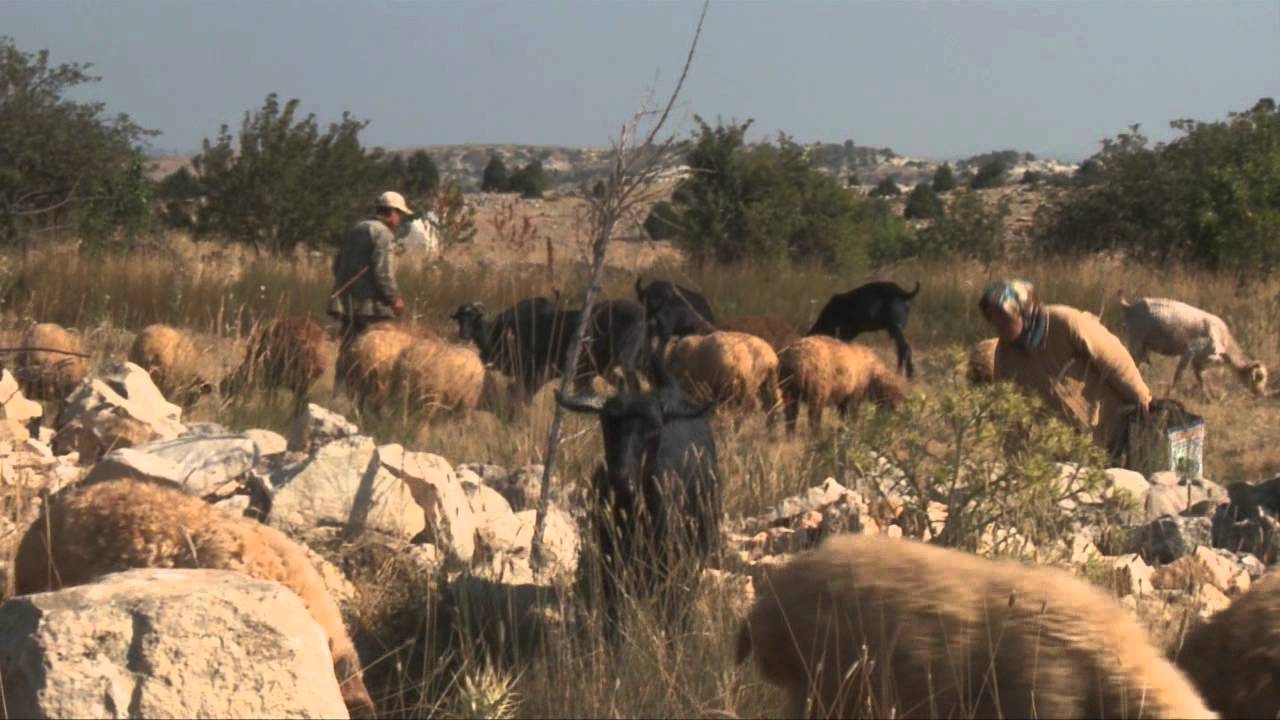 Mersin Bozyazı clip