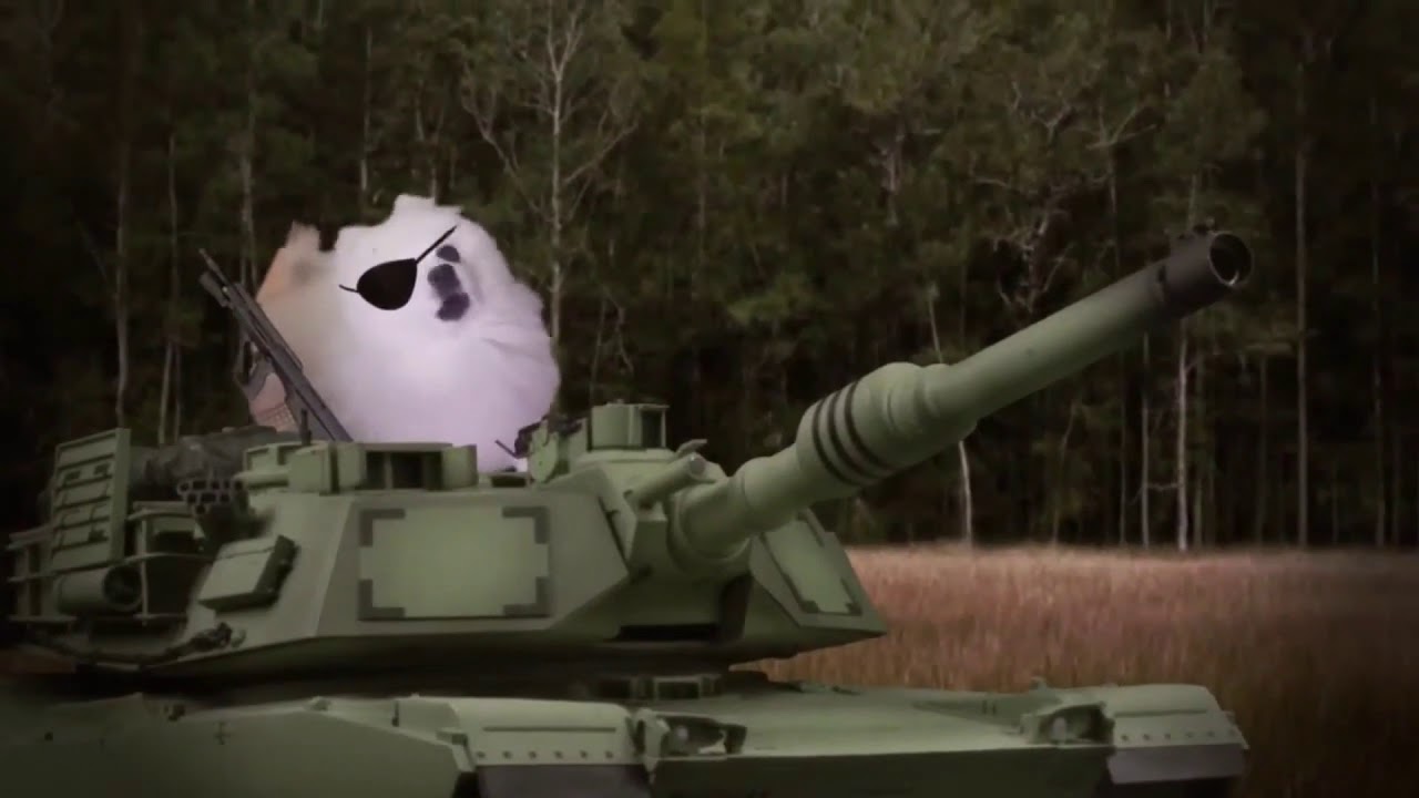 Gifs & Sound #4