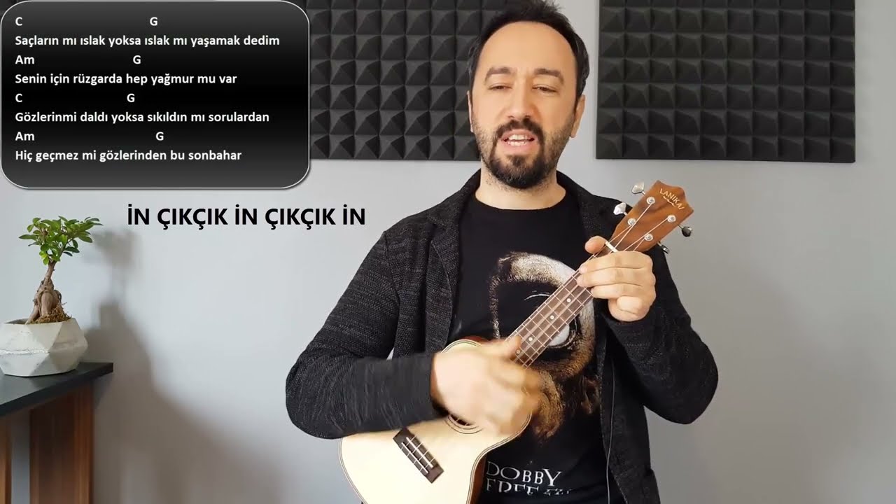 KUPA KIZI SİNEK VALESİ TEOMAN UKULELE DERSİ VE UKULELE AKORLARI