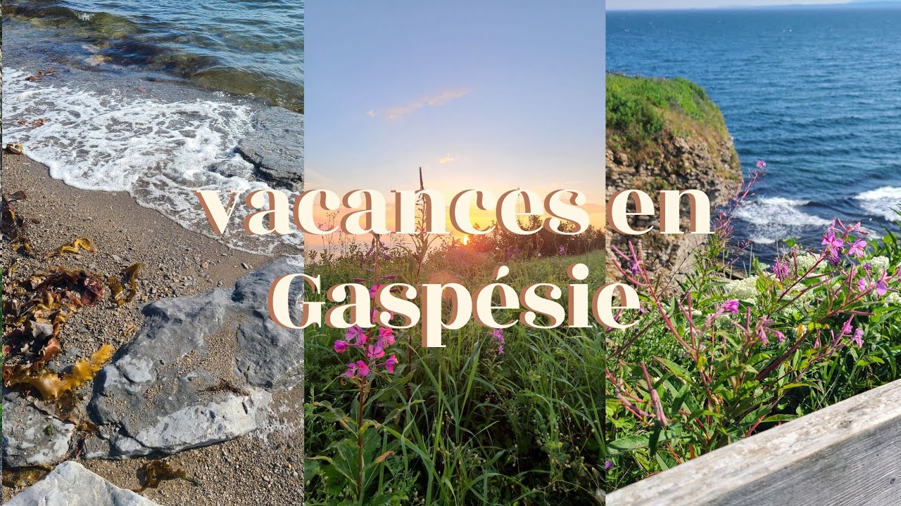 Tour de la Gaspesie 🌸 Rocher Percé, parc national Forillon, rivière aux Émeraudes