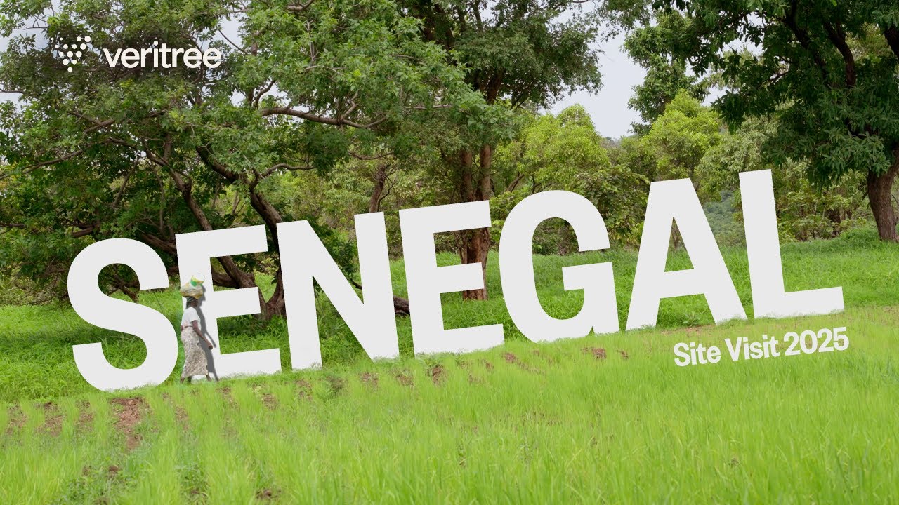 Agroforestry in Action: veritree’s Restoration Work in Senegal
