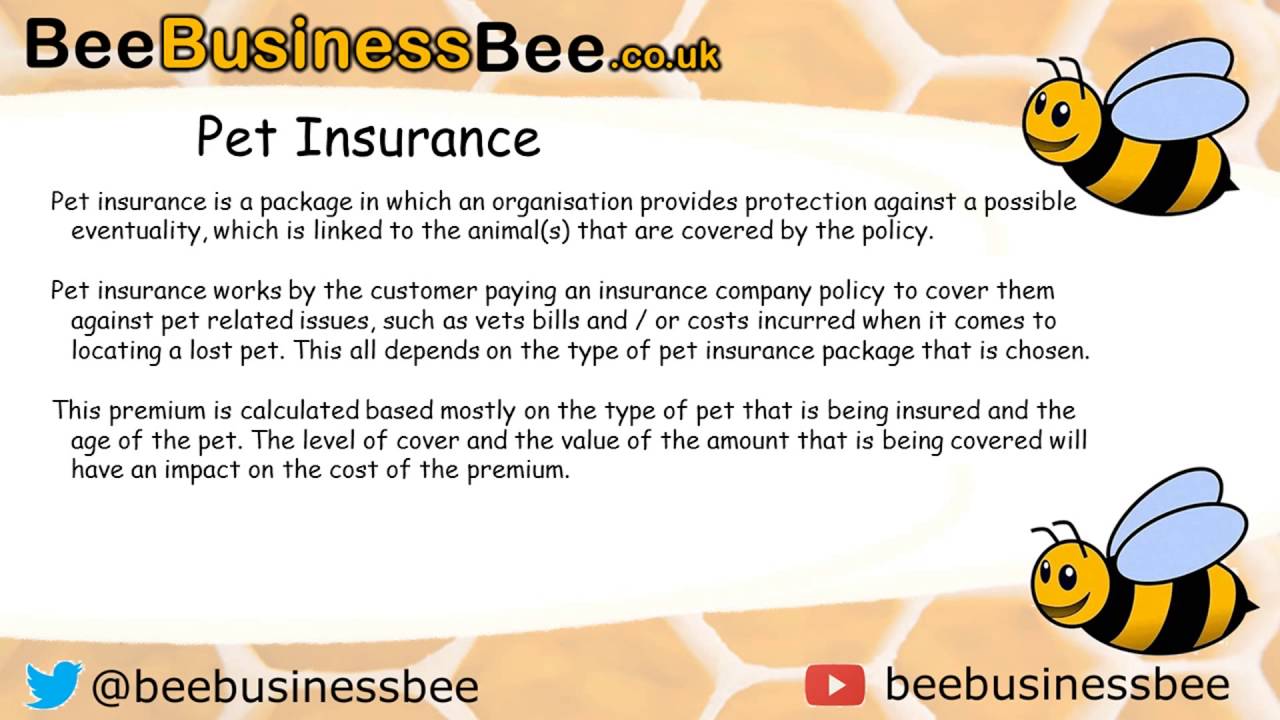 Different Types of Insurance (BTEC Nationals Level 3)