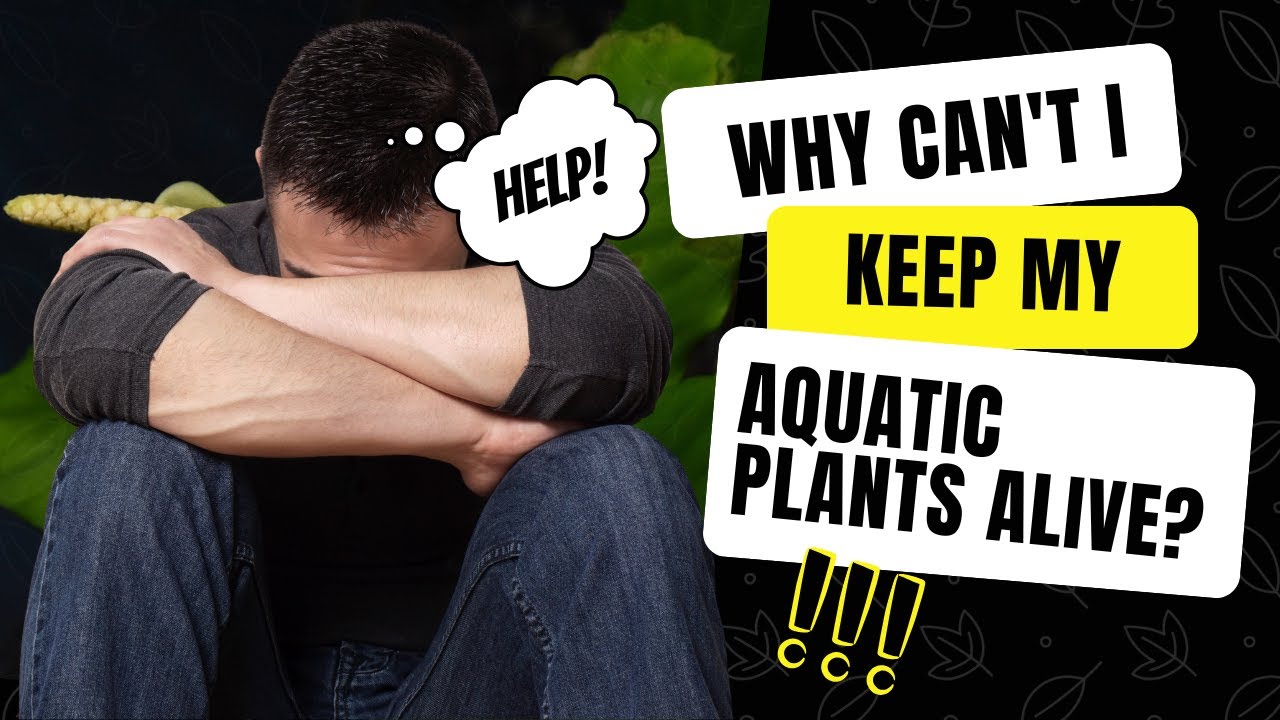 Unlock EXPLOSIVE Plant Growth: The CO2 SECRET Nobody Tells You!