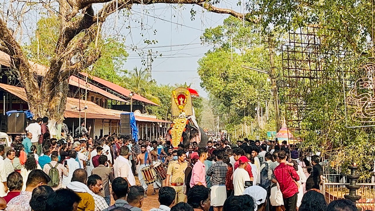 AANAYADI AANA KAZHCHAKAL II GANAMELA 2026 II MANIYANS BLOG 