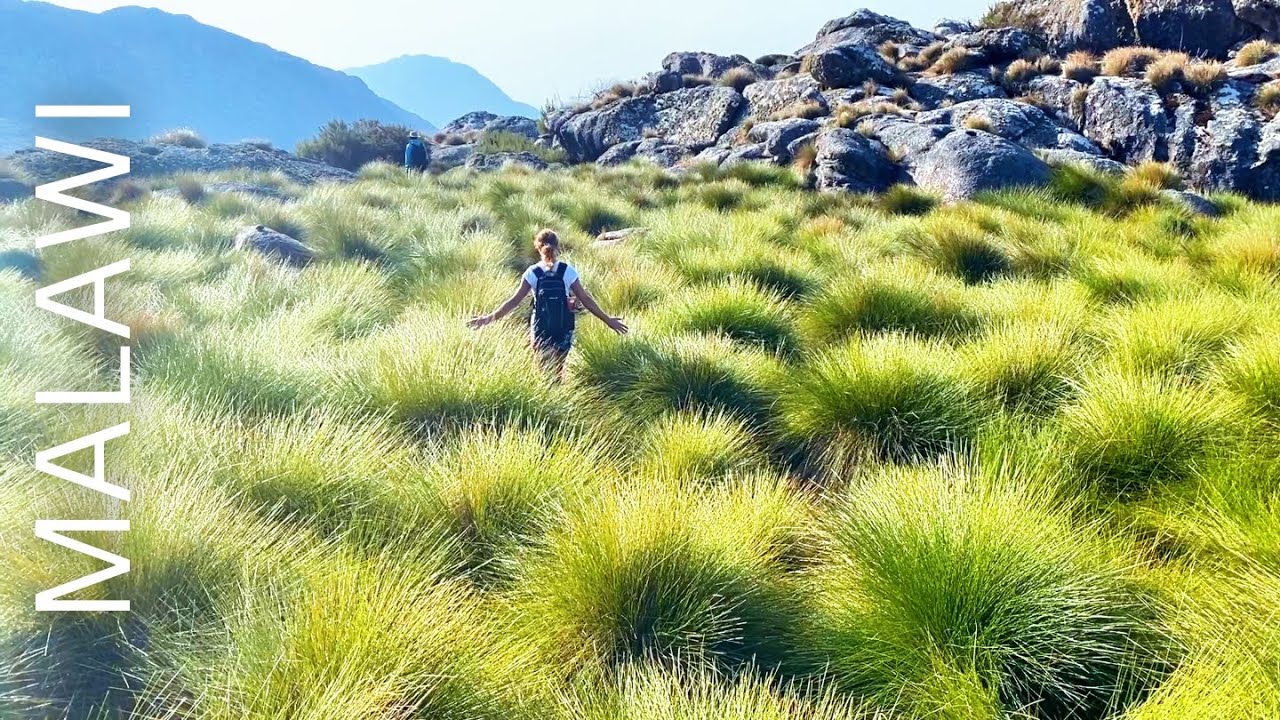 Epic 5-Day Adventure Hike on Malawi’s Highest Mountain | Mount Mulanje