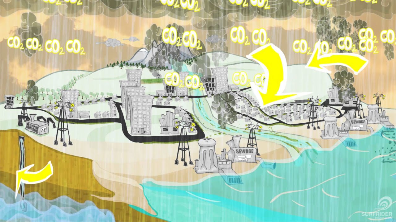 The Cycle of Insanity: The Real Story of Water - Full Film