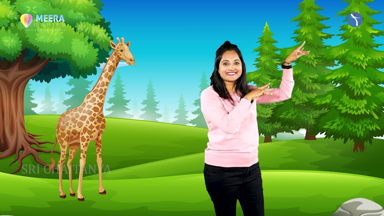 I am Giraffe