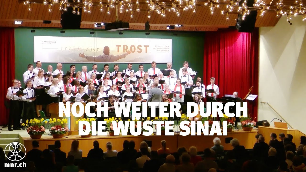 Noch weiter durch die Wüste Sinai | Mitternachtsruf