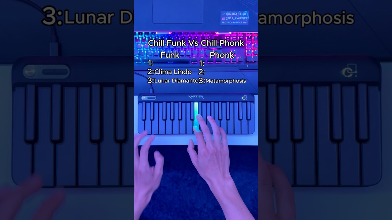 Chill Funk OR Chill Phonk?🎧