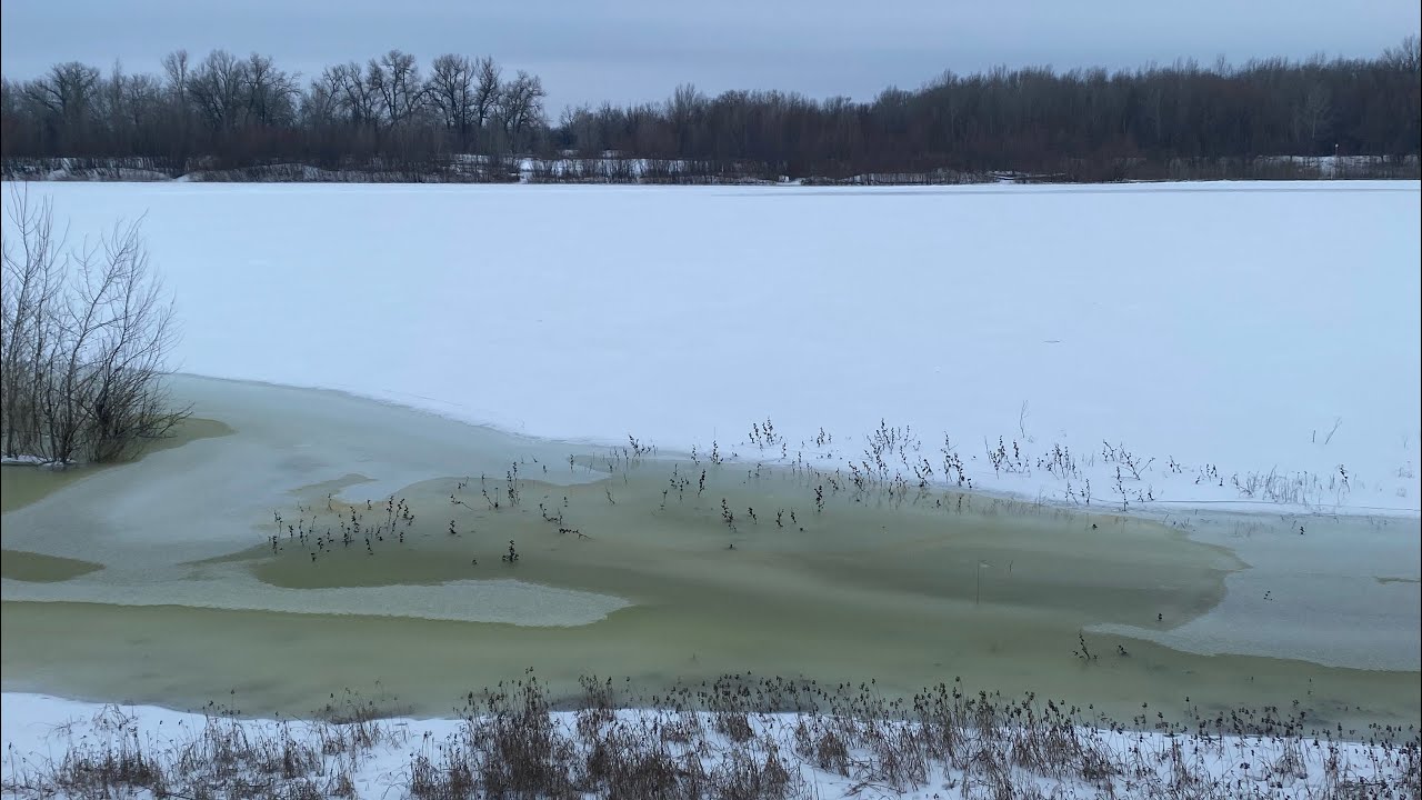  ❄️ асмр прогулка по лесу, хрум-хрум снежок (1 часть) ❄️
