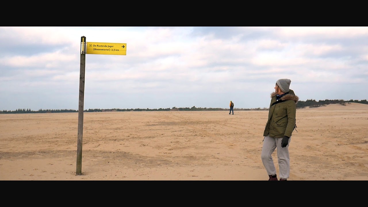 Nationaal Park De Loonse en Drunense Duinen- Holenderska Pustynia