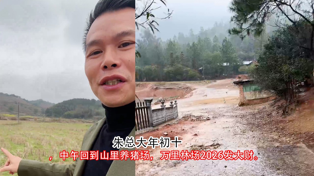 朱总大年初十，中午回到山里养猪场，万里林场2026发大财。