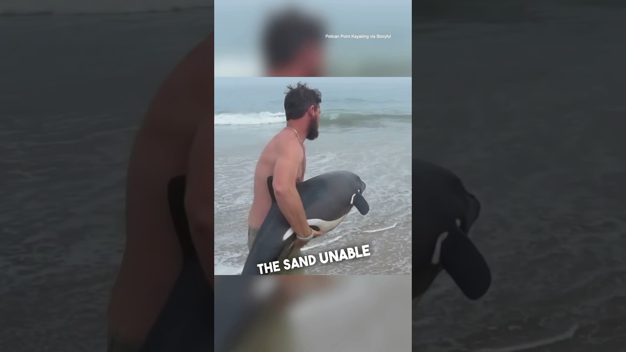 This man saved a young dolphin&rsquo;s life ❤️