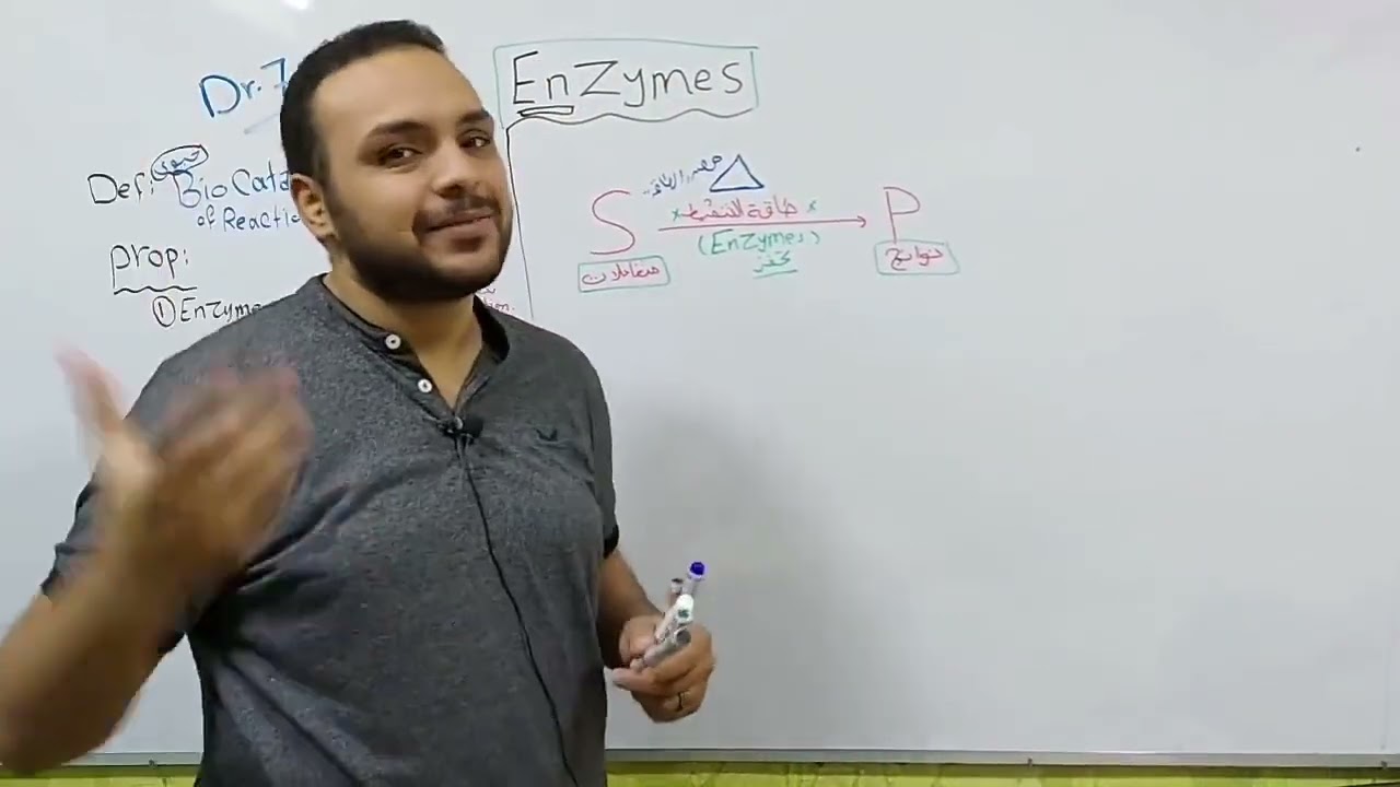 1- Enzymes القصر العيني