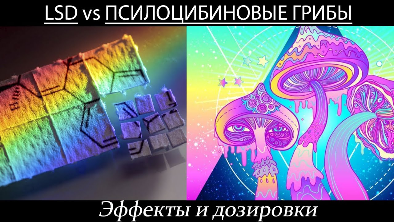 ЛСД vs ПСИЛОЦИБИНОВЫЕ ГРИБЫ. ДОЗЫ И ЭФФЕКТЫ. МИКРОДОЗИНГ.