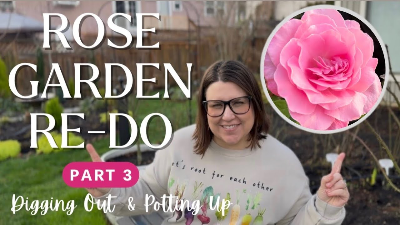 🌹✨Проект по переделке розария: Часть 3! 🌹🌿✂️ Обрезка и выкапывание!