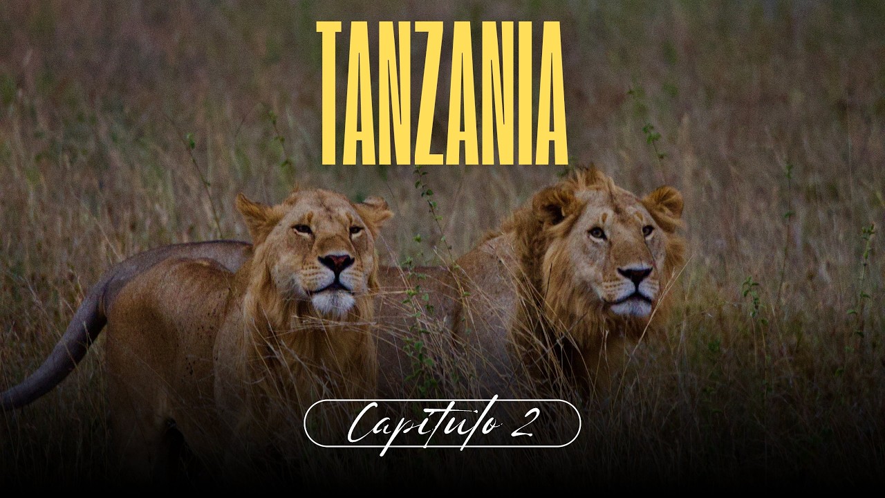 Así es un safari en Tanzania por dentro 🦁 | África salvaje | Capítulo 2