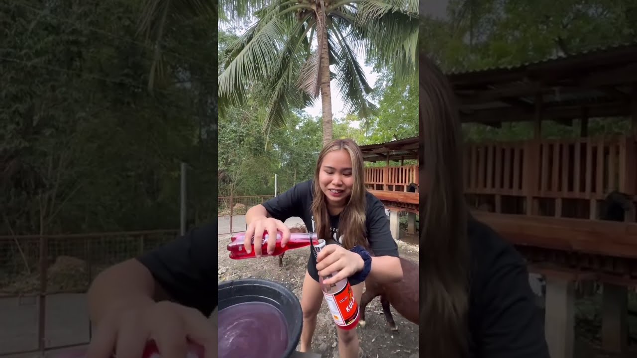 Girl tapang nakipag inuman sa kambing🤣
