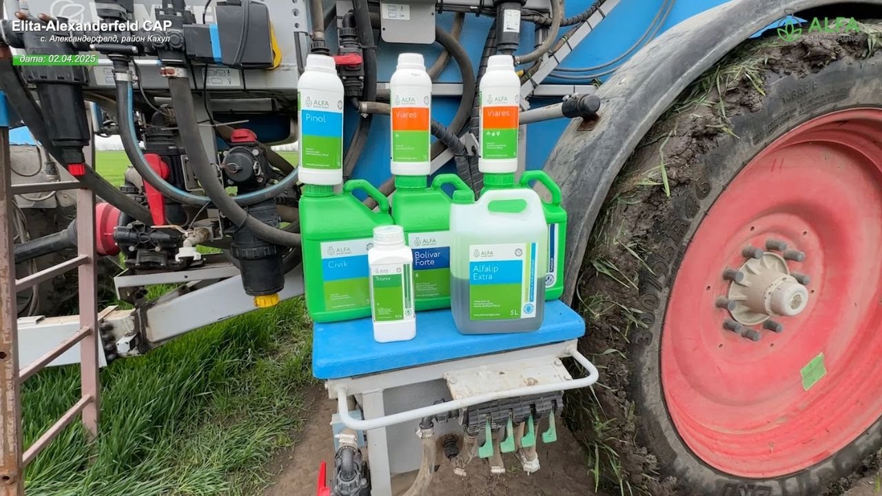 Этап 2: весенняя обработка озимой пшеницы на демоучастке ALFA Smart Agro в Elita-Alexanderfeld