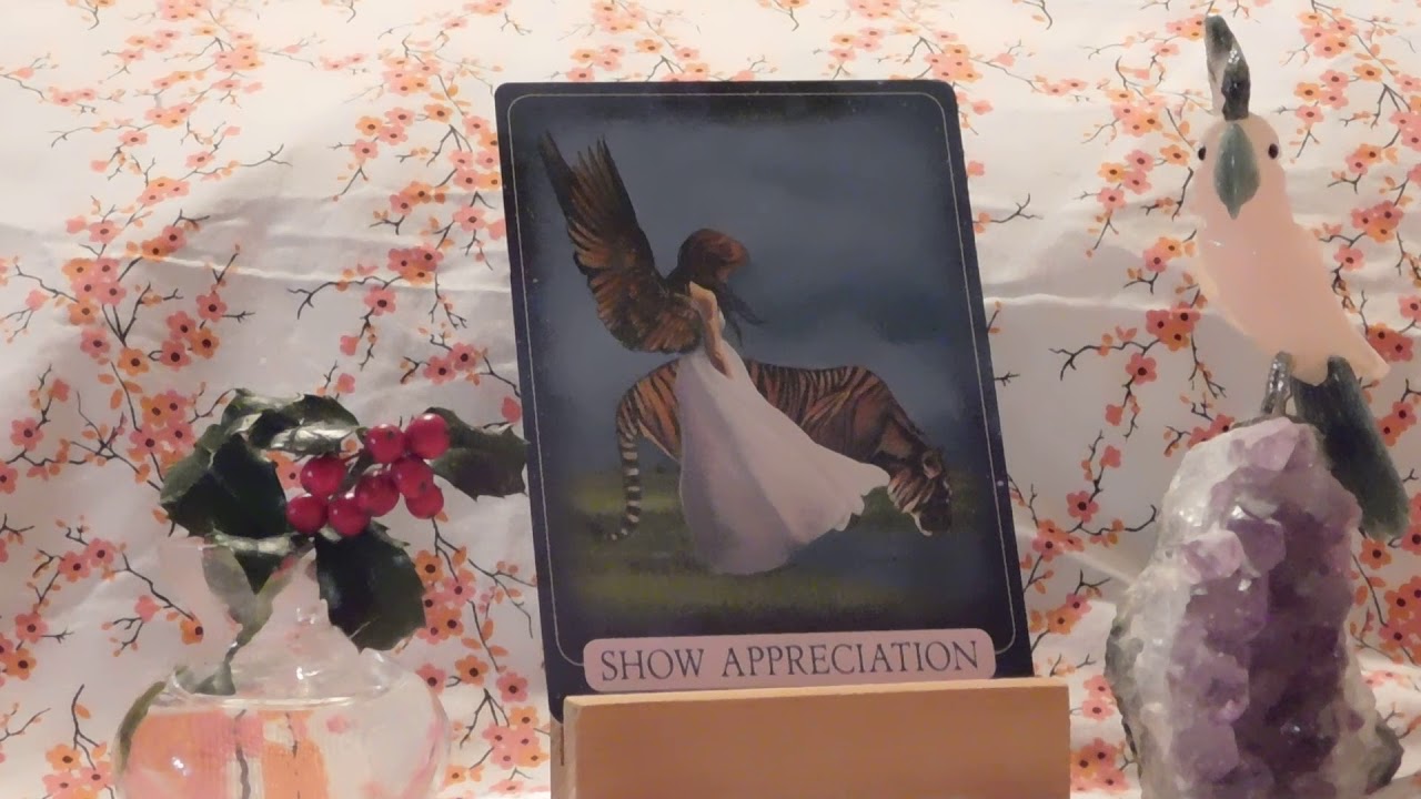 Daily Indigo Angel Oracle Card Reading