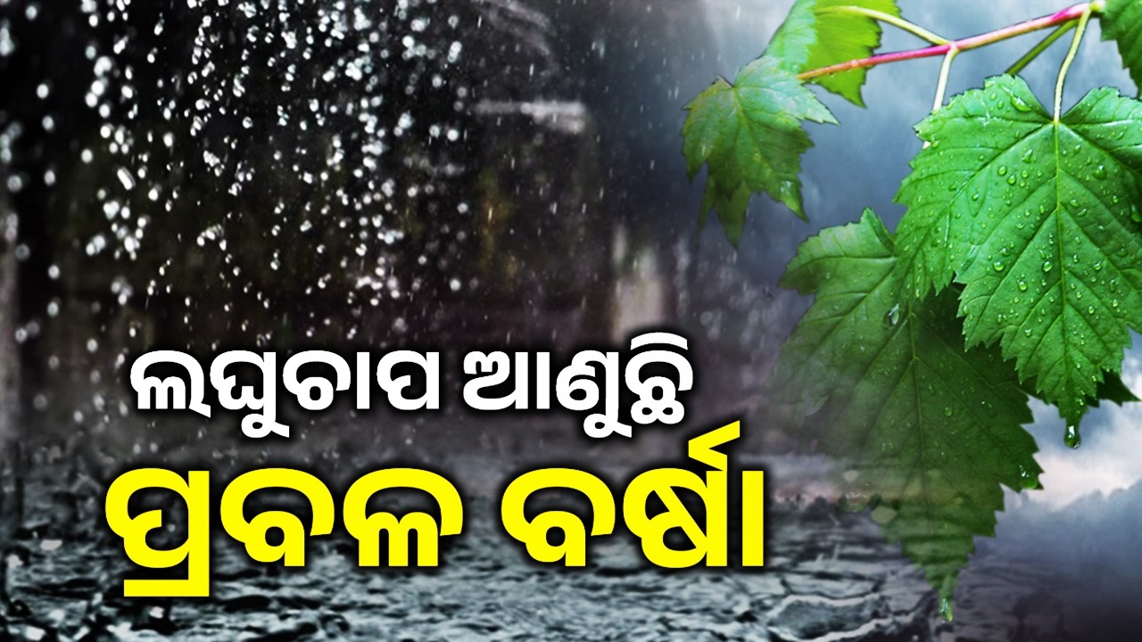 Heavy Rain Forecast in Odisha: IMD Issues Warning for Next One Week | Kalinga TV