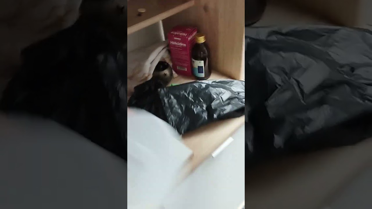 😡 Voilà comment je retrouve mon appartement