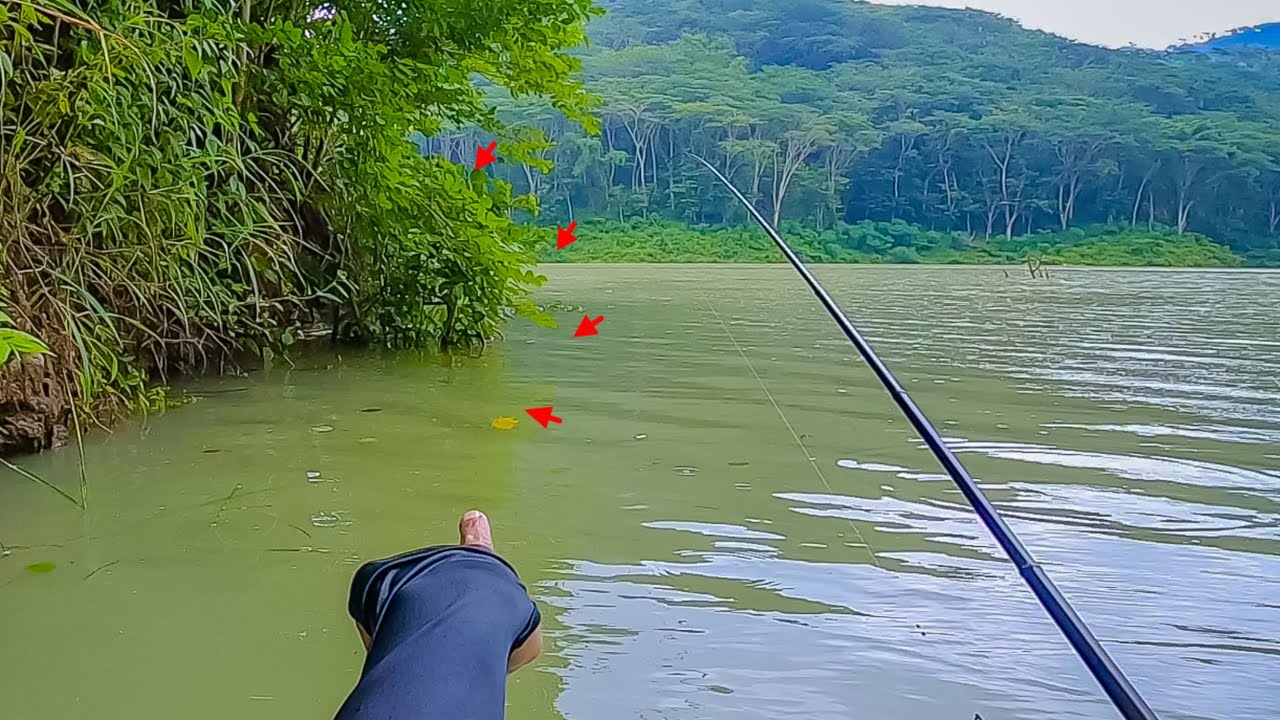 INSTING PEMBURU SAYA BERKATA POHON TENGGELAM INI SARANG IKAN NILA | mancing ikan nila di waduk tugu