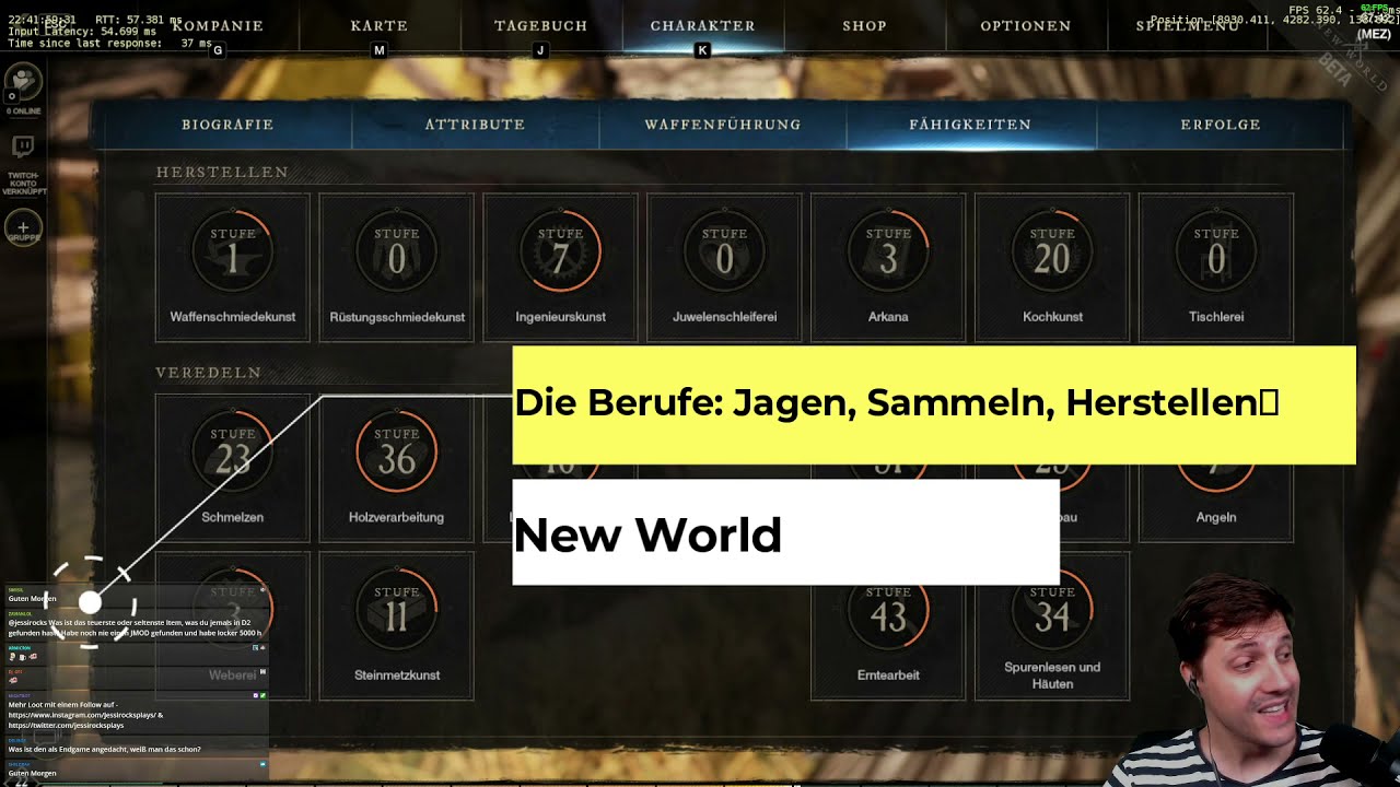 Die Berufe in New World