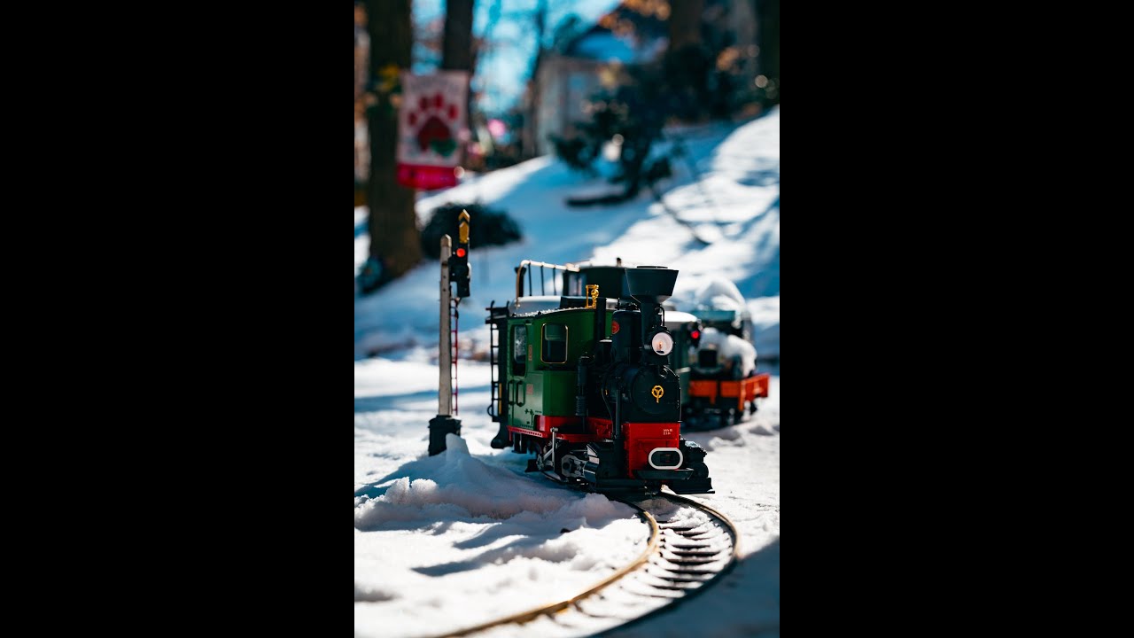 Relax and enjoy. Snow day