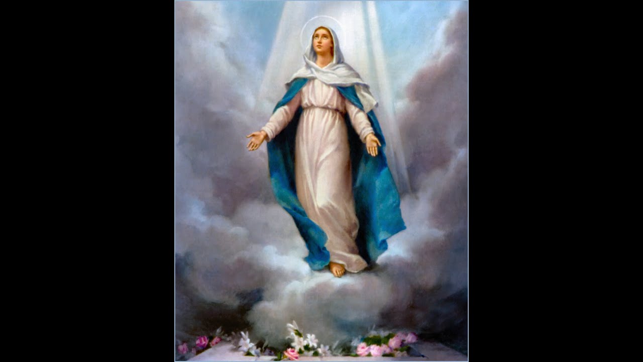 A Homily for the Solemnity of Assumption: Where she is now, we will be one day!