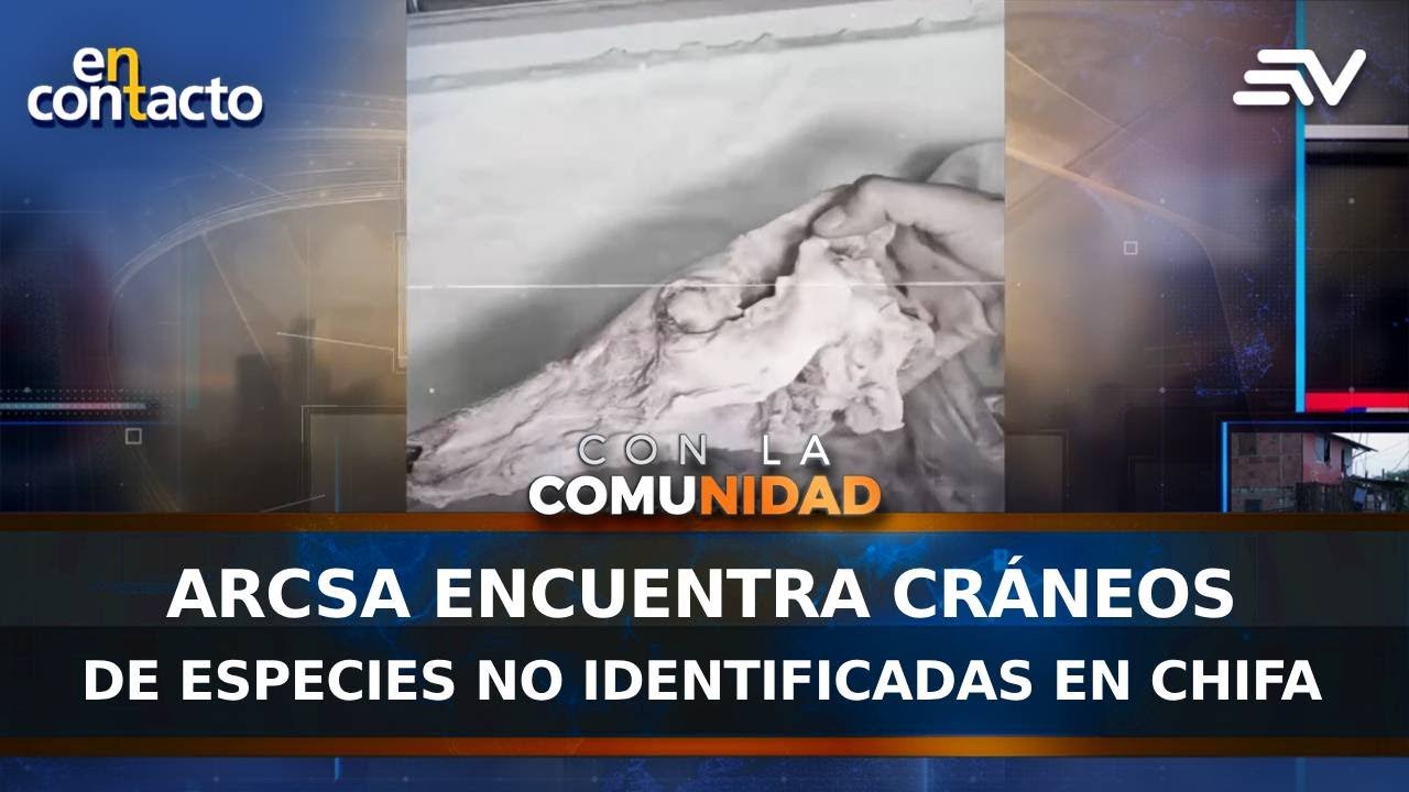 ARCSA Encuentra cráneos de especies no identificadas en Chifa | En Contacto | Ecuavisa